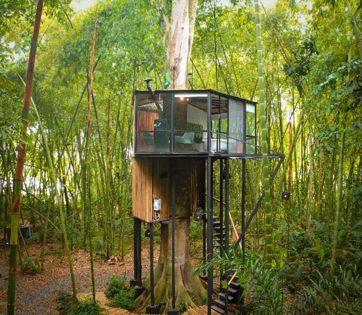 Amanatu Ecolodge & Spa Quimbaya Ngoại thất bức ảnh