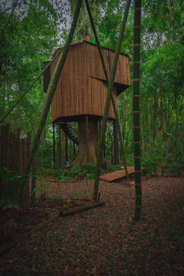 Amanatu Ecolodge & Spa Quimbaya Ngoại thất bức ảnh