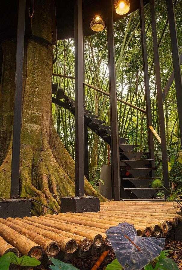 Amanatu Ecolodge & Spa Quimbaya Ngoại thất bức ảnh