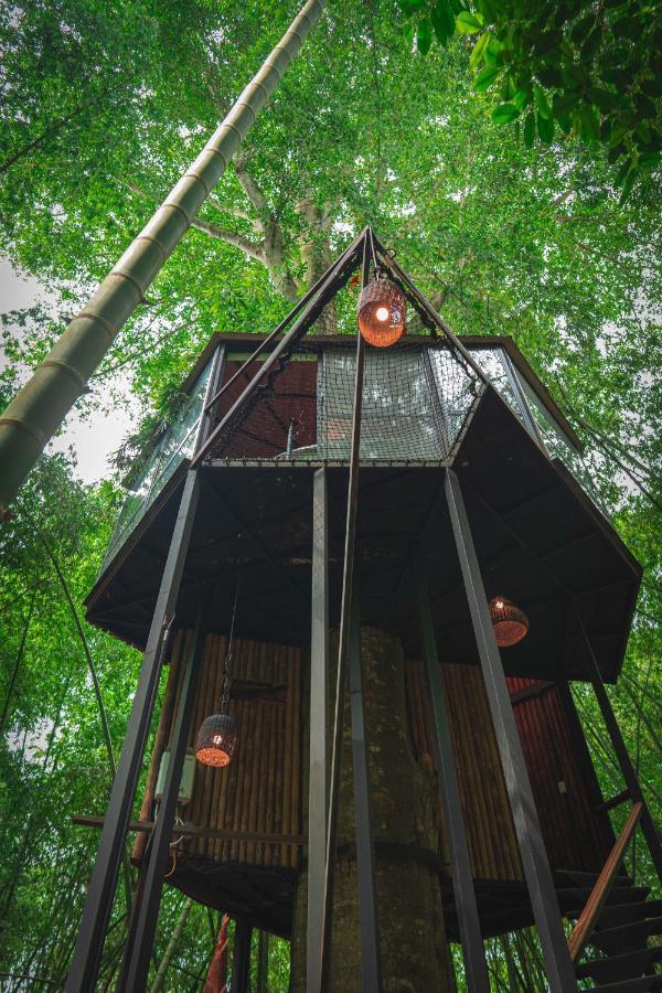 Amanatu Ecolodge & Spa Quimbaya Ngoại thất bức ảnh