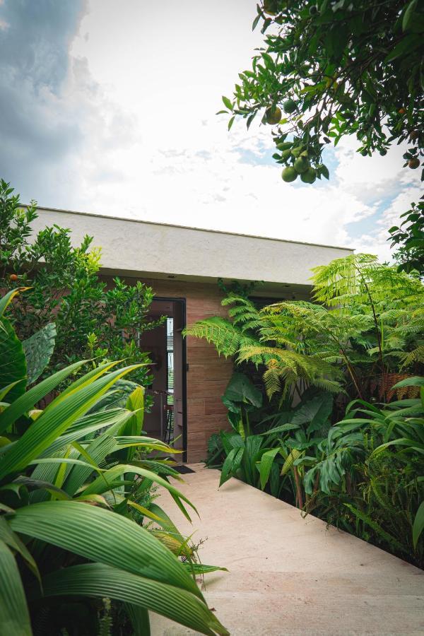 Amanatu Ecolodge & Spa Quimbaya Ngoại thất bức ảnh